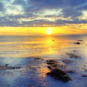 Meet your Posher, Kole